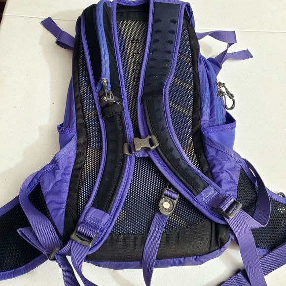 Osprey Hydraulics Raven 14 Hiking Backpack - Picture 9 of 15